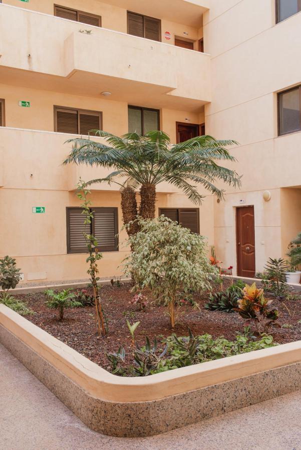 Apartamento Medano غراناديا دي أبونا المظهر الخارجي الصورة